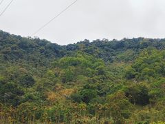 -海南热带雨林国家公园吊罗山景区