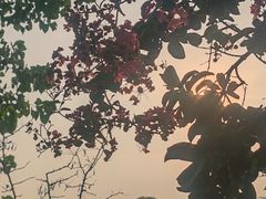 -武汉紫薇都市田园