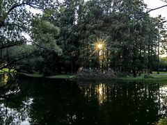 -上海共青森林公园