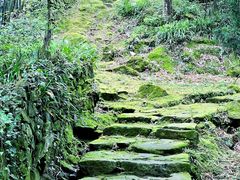 -唐崖土司城遗址