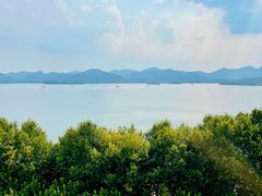 -杭州君悦酒店