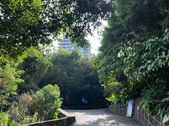 -小南山公园