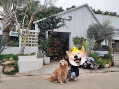 -自由生长植物工作室(深港花卉中心店)