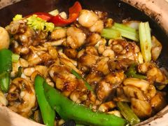 -天宝食坊·啫啫煲大排档(西华路店)