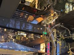 -桂满陇·海市蜃楼·黑金(国金店)