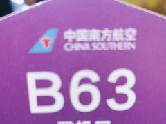 -广州白云国际机场-T2航站楼