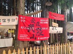 -武陵山森林公园