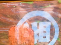 -米椰湘·辣椒炒肉