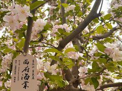 -元大都城垣遗址公园