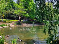 -月牙潭公园