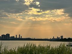 -九龙湖公园