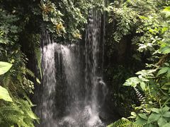 -华南国家植物园-售票处