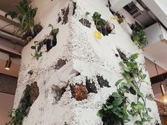 -农畉LONFOOD(福田星河COCOPark店)