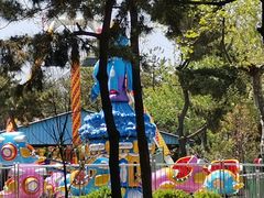 -西霞口神雕山野生动物世界