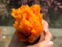 -中苑海韵