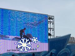 -上海海昌海洋公园