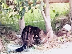 -南沙十九涌渔人码头-南门