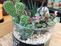 -九秋茶铺(三里屯店)