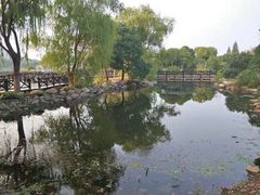 -长广溪湿地公园