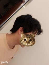 点击看大图 -HD HAIR STYLE