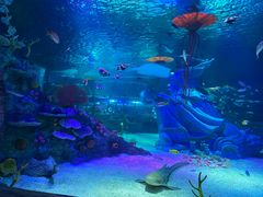 -沈阳海洋探索中心