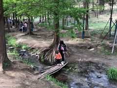 -白水寺森林公园