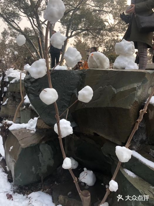 景山公园景点图片