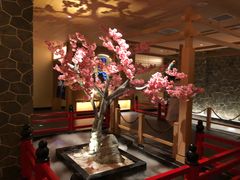 -蓝鲸湾汤泉(包河店)