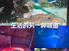 -南京海底世界