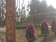-秀丽东方