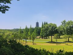 -宜兴龙背山森林公园