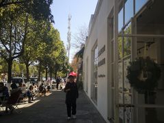 -收获咖啡HARVEST RESERVE(苍山店)