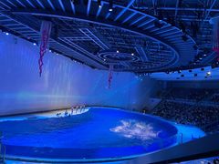 -上海海昌海洋公园