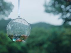 -西湖风景区-江洋畈生态公园