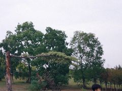 -南京市江宁方山