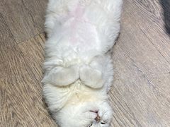 -小时光咖啡馆(开森度假森林店)