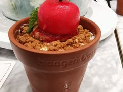 -哈根达斯(武汉天地店)