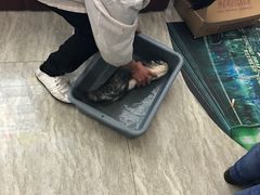 -三林本帮馆(中林街店)