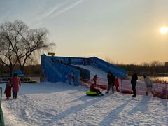 -大兴滨河森林公园