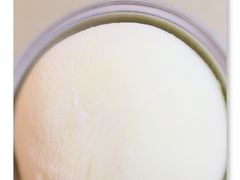 -Mnemosyne尼莫西妮(香港城店)