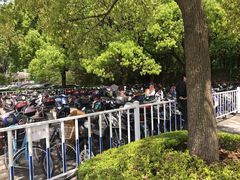 -共青国家森林公园-南大门停车场