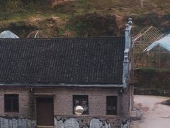 -四明山国家森林公园