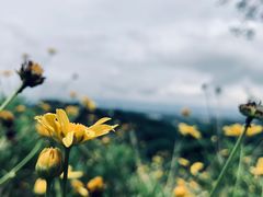 -远山有窑