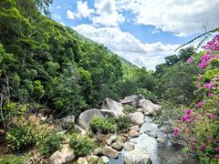 -海南热带雨林国家公园吊罗山景区