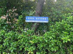 -观澜湖生态运动公社