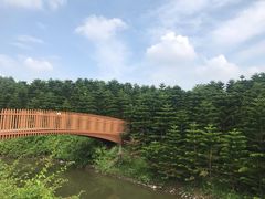 -迪茵湖田家舍生态农场