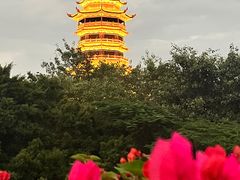 -厦门园林博览苑
