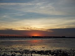 -宝安西湾红树林湿地公园