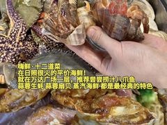 -日照海滨国家森林公园
