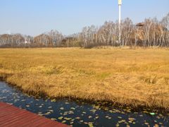 -塞罕坝国家级自然保护区